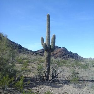 Meet your Posher, Marci